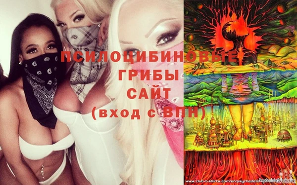 гидропоника Армянск